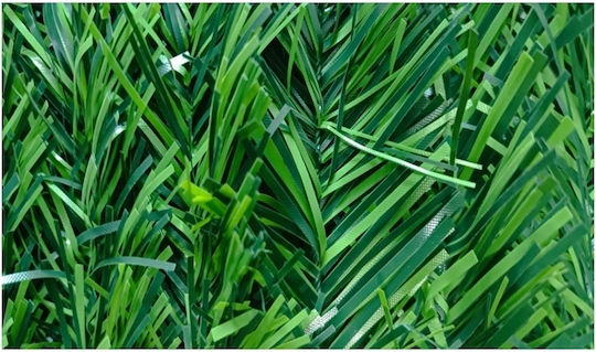 Ecoshadow Artificial Foliage in Roll 3x1m
