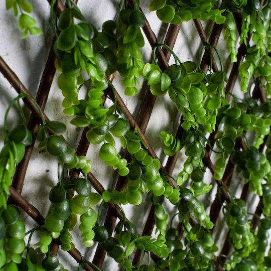 Supergreens Изкуствената листва е в Мрежа Boxwood 2x1м