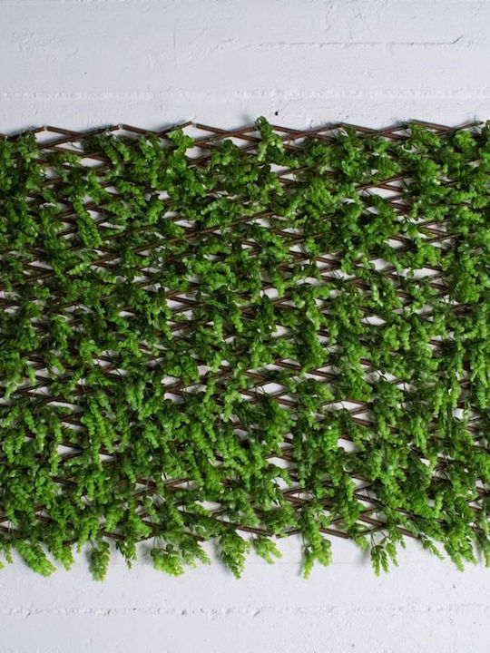 Supergreens Συνθετική Φυλλωσιά σε Καφασωτό Πυξάρι 2x1m