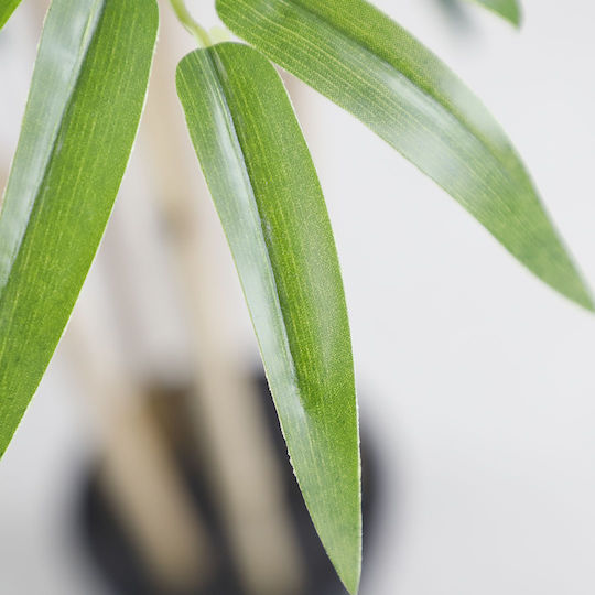 Newplan Outdoor Bamboo