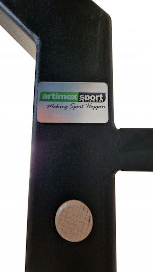 Artimex Sport Gladiator Sprossenwand für Benutzer bis 135kg