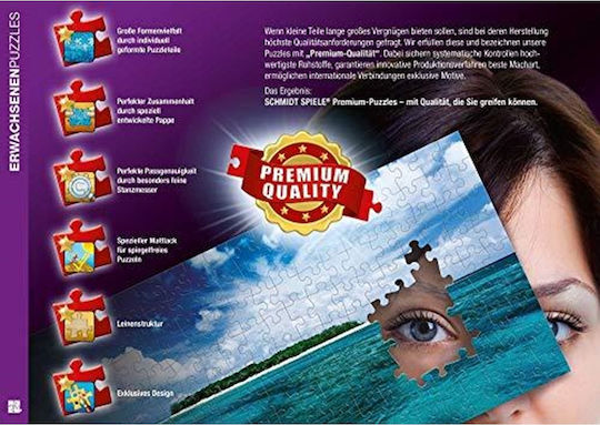 Puzzle Sunken Treasure 2D 1000 Piese