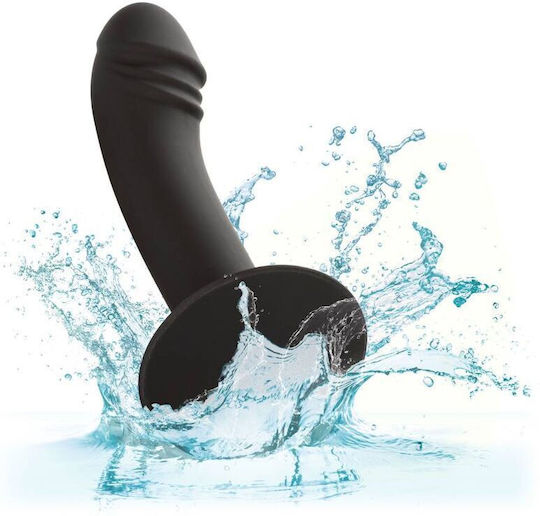 Calexotics Curved Anal Stud Πρωκτικό Dildo Small Μαύρο
