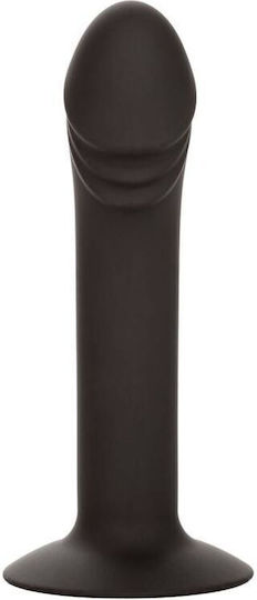 Calexotics Curved Anal Stud Πρωκτικό Dildo Small Μαύρο