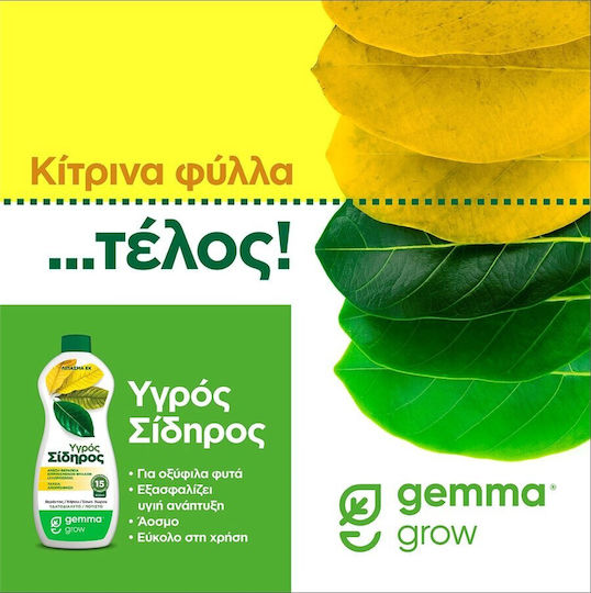 Gemma Super Green Βιολογικό Υγρό Λίπασμα Αζώτου, Σιδήρου Γενικής Χρήσης 250ml