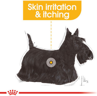 Royal Canin Dermacomfort Mini 1kg Ξηρά Τροφή για Ενήλικους Σκύλους Μικρόσωμων Φυλών με Καλαμπόκι, Πουλερικά και Ρύζι