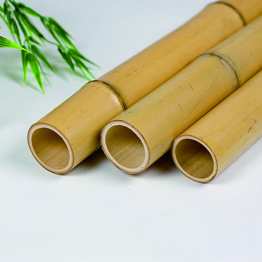 Showood Reed pentru Împrejmuire Grădină din Bambus 300x35x35buc 1buc