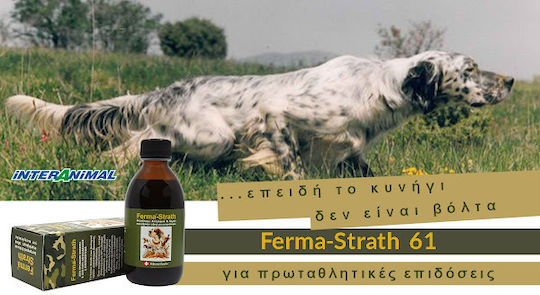Interanimal Ferma Strath Πολυβιταμίνες Σκύλου σε Σιρόπι 250ml για Ενίσχυση Οργανισμού