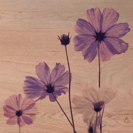 Ango Violet Πίνακας Ξύλινος 29x29cm