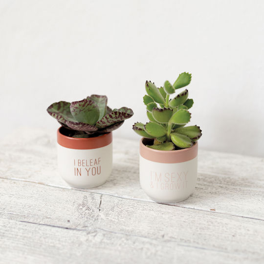 Raeder Plant Pot Ceramic White