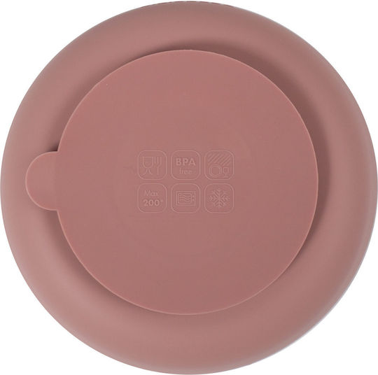 Filibabba din silicon Roz