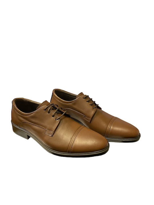 Boxer Boxer