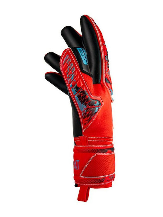 Reusch Attrakt Freegel Gold X Adults Goalkeeper Gloves Red