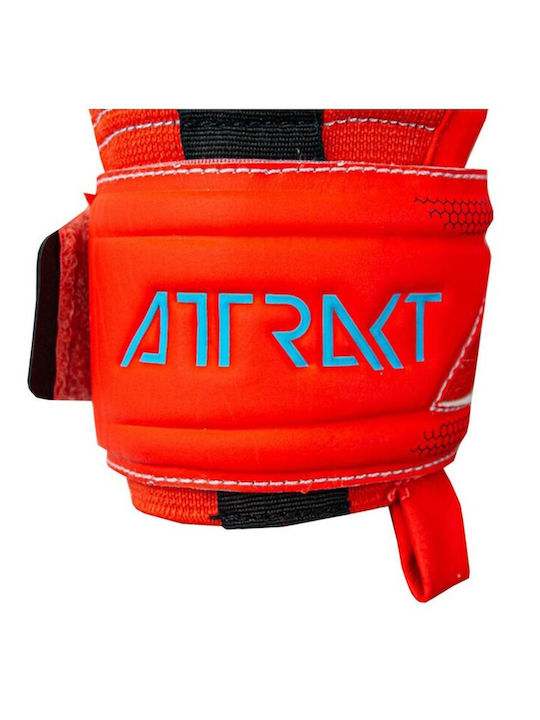 Reusch Attrakt Freegel Gold X Adults Goalkeeper Gloves Red