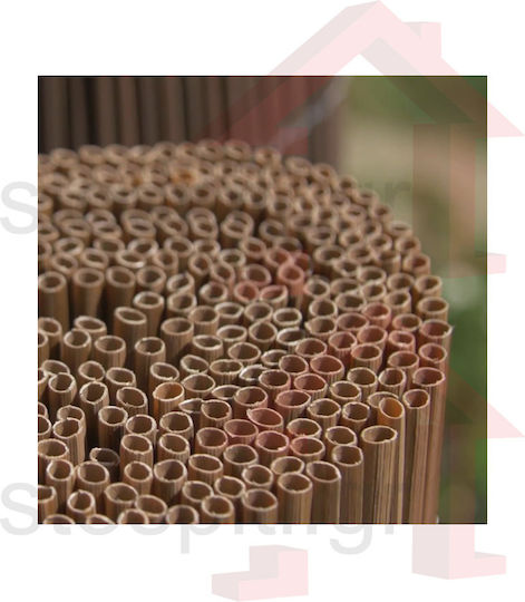 Showood Gard de Bambus Plastic cu Întregul Reed 2x3m