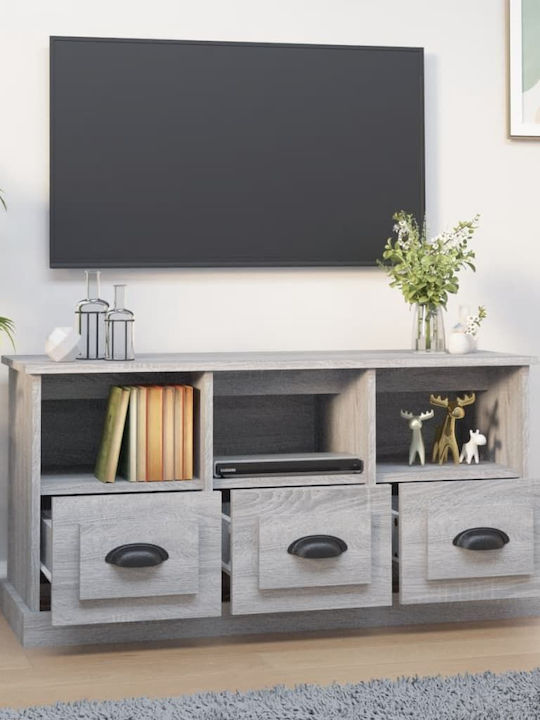vidaXL TV-Ständer Grau M100xP35xH50cm