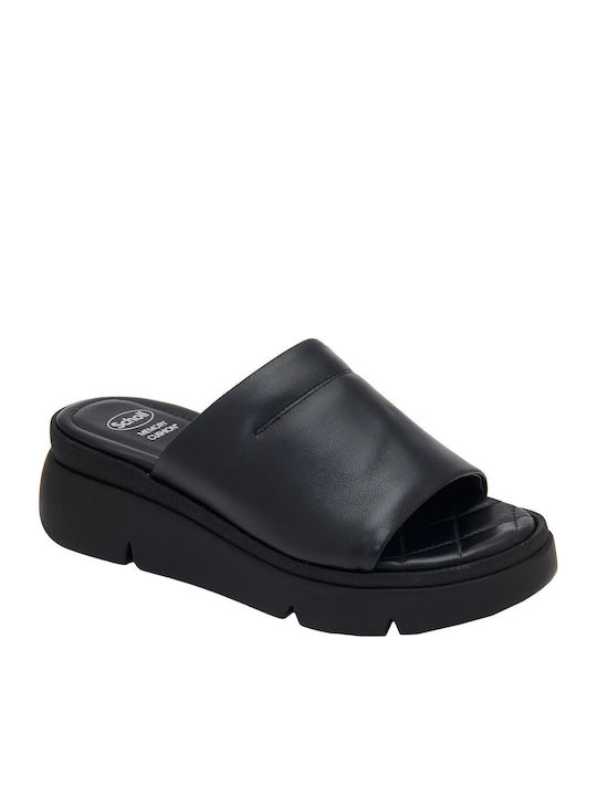 Scholl