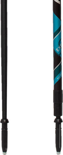 Fizan Pair of Telescopic Aluminum Trekking Poles with 3 Sections Explorer Blue 230gr