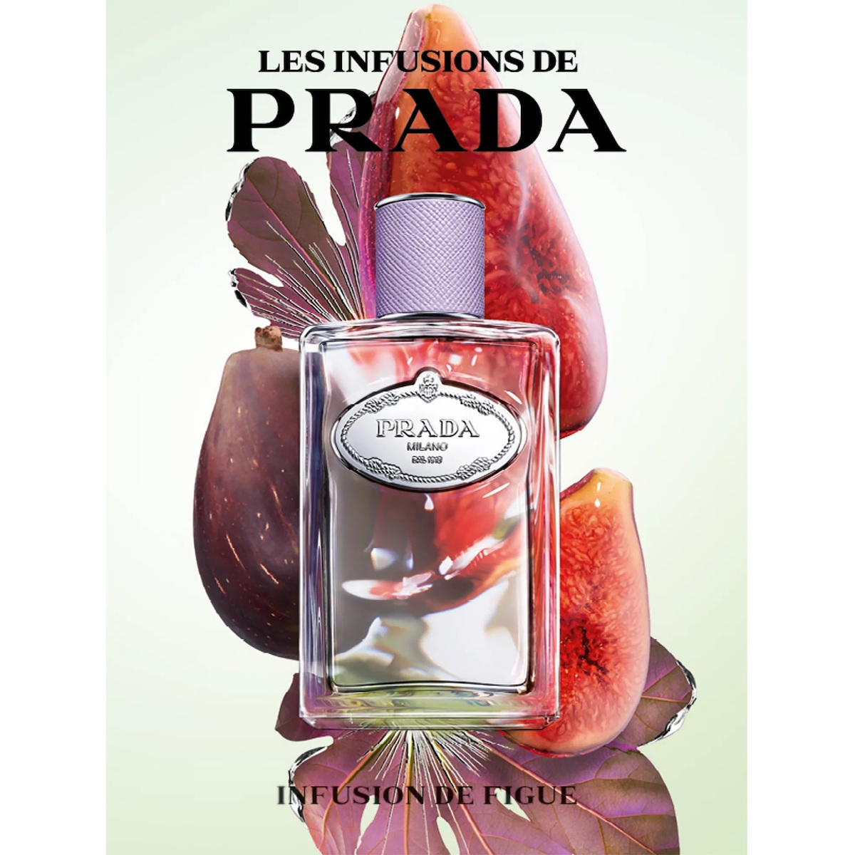 Prada Infusion De Figue Eau de Parfum 100ml | Skroutz Romania