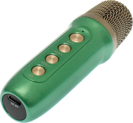 Ηχείο Karaoke με Ασύρματο Μικρόφωνο YS-104 887295_g Πράσινο