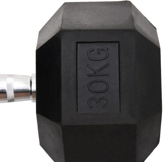 vidaXL Sechseck-Hantel 1 x 30kg