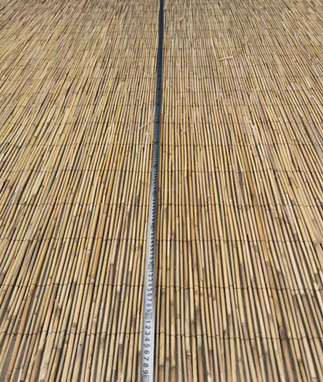 ArteLibre Καλαμωτή με Ολόκληρο Καλάμι 1x5m