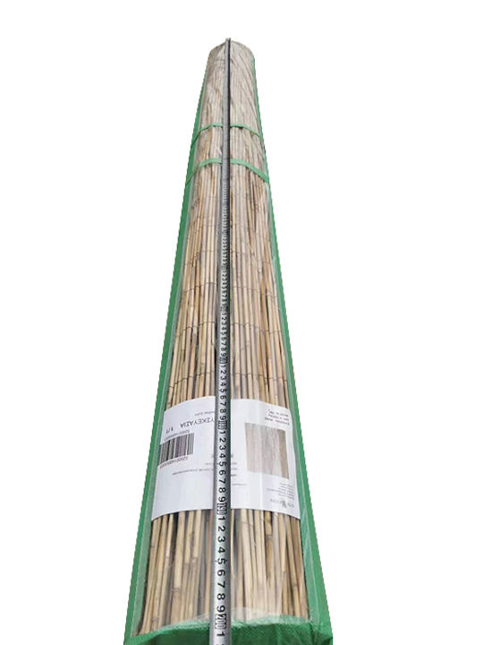 ArteLibre Bambuszaun mit Ganzes Schilf 1x3m