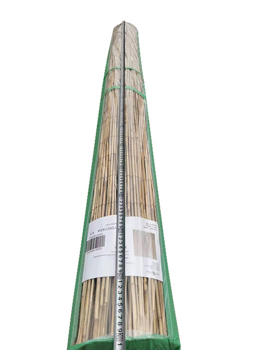 ArteLibre Bambuszaun mit Ganzes Schilf 2x3m