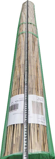 ArteLibre Bambuszaun mit Ganzes Schilf 2x3m 14850003 ArteLibre Bambuszaun mit Ganzes Schilf 2x3m 14850003