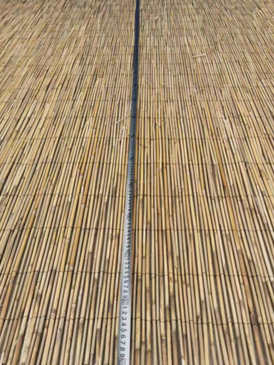 ArteLibre Bambuszaun mit Ganzes Schilf 2x3m