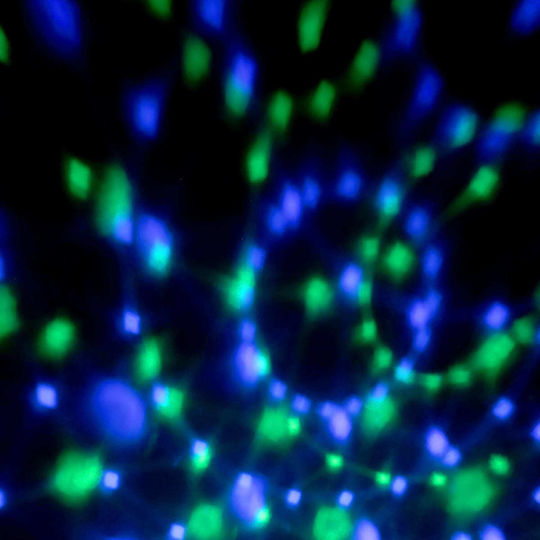 BoomToneDj Φωτορυθμικό LED Twist Ball RGB