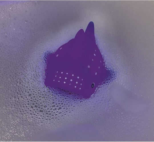 Moses Bath Fish Wasserspritzgesichter (Verschiedene Designs/Sortiment von Designs) 1St