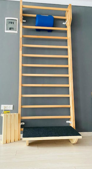 Artimex Sport Schroth Πολύζυγο για Χρήστη έως 150kg