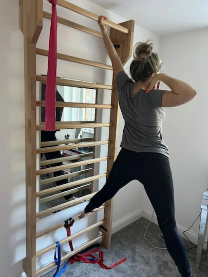 Artimex Sport Schroth Πολύζυγο για Χρήστη έως 150kg
