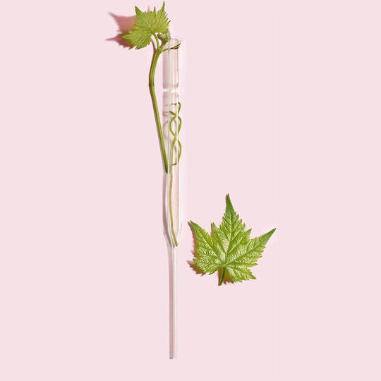 Caudalie Resveratrol-Lift Instant Firming Anti-aging Serum Face with Hyaluronic Acid for Firming 30ml