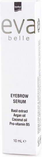 InterMed Eva Belle Eyebrow Enhancing Ενυδατικό Serum Φρυδιών με Βιταμίνη B5 για Ενδυνάμωση 10ml