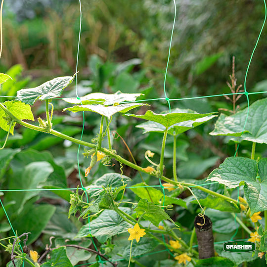 Grasher Climbing Plant Net 200cmx5m from Plastic