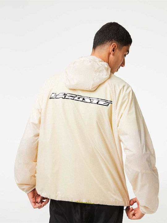 Lacoste