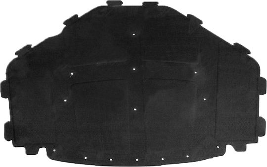 NTY Engine Bay Silencing Material Car for BMW X5 (E70) Sound Insulation-Thermal Insulation for BMW X5 E70 06 / X6 E71 2007