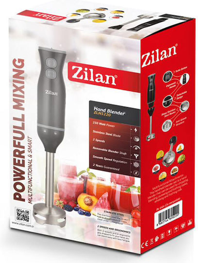 Zilan Ραβδομπλέντερ με Ανοξείδωτη Ράβδο 250W Μαύρο
