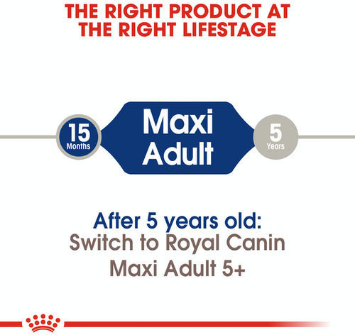 Royal Canin Maxi Adult 10kg Dry Food for Adult Large Breed Dogs with Poultry and Rice