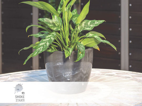 Viomes Linea Natura 862.5 Blumentopf Kunststoff Gray Viomes Linea Natura 862.5 Blumentopf Kunststoff Gray