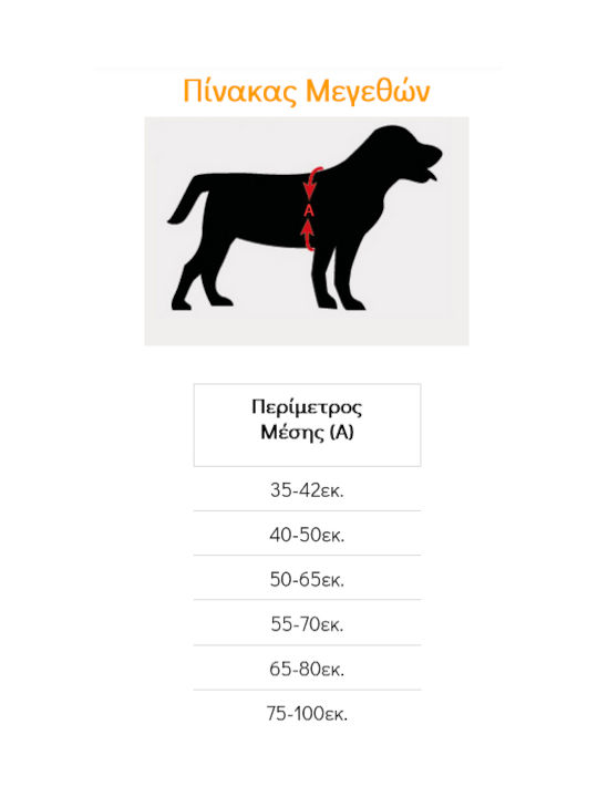 Flamingo Нагръдник за куче Обучение Abbi Medium 20мм x 50-65см Flamingo Нагръдник за куче Обучение Abbi Medium 20мм x 50-65см