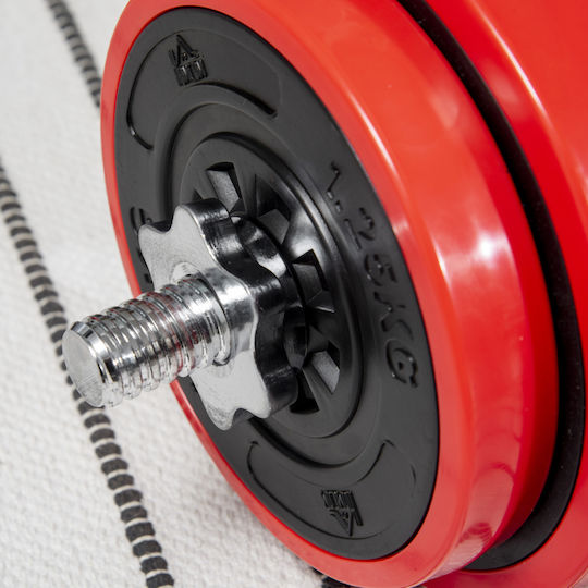 HomCom Hantelset mit Gesamtgewicht von 65kg kg