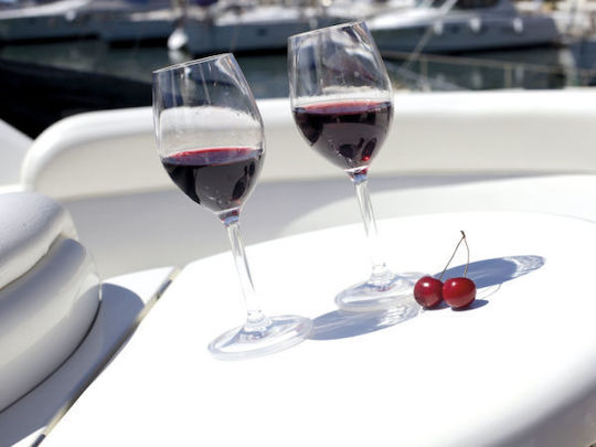 Marine Business Set of Glasses for Red Wine made of Plastic Stemmed 325ml 6pcs