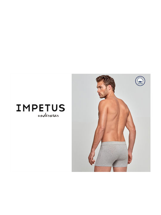 Boxer Impetus 1227020-507 Γκρι Impetus Γκρι