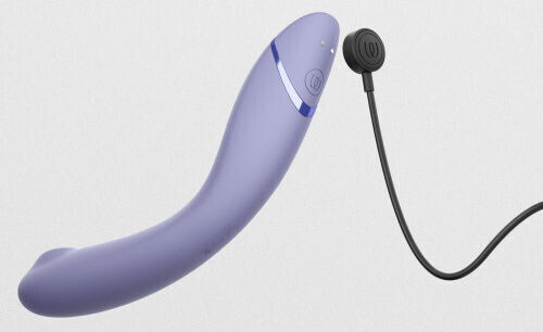 Womanizer Journey to Ecstasy Purple