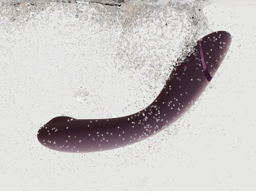 Womanizer Journey to Ecstasy Eggplant