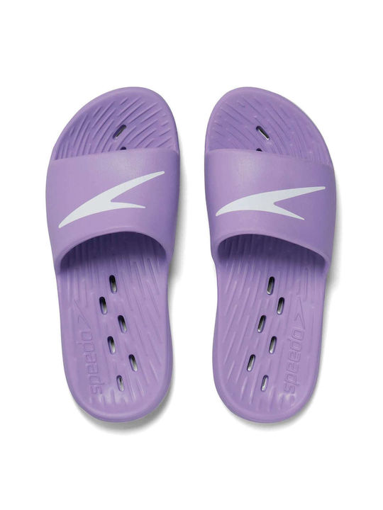 Speedo Men's Slides Purple