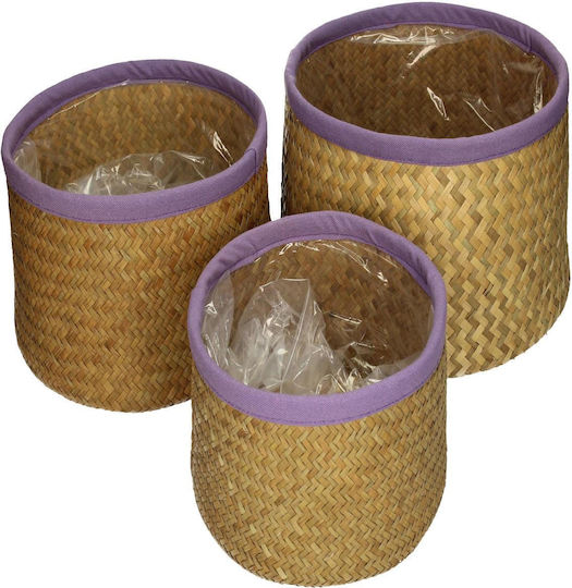 ArteLibre Plant Pot Pink
